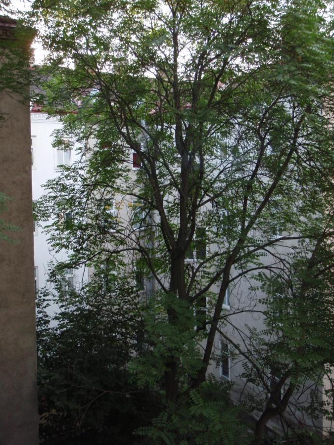 Augartenblick Penthaus 17 - Blick Zum Riesenrad Vienna Esterno foto